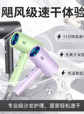 吹风机家用2026新款大风力负离子护发静音速干酒店壁挂式宾馆专用