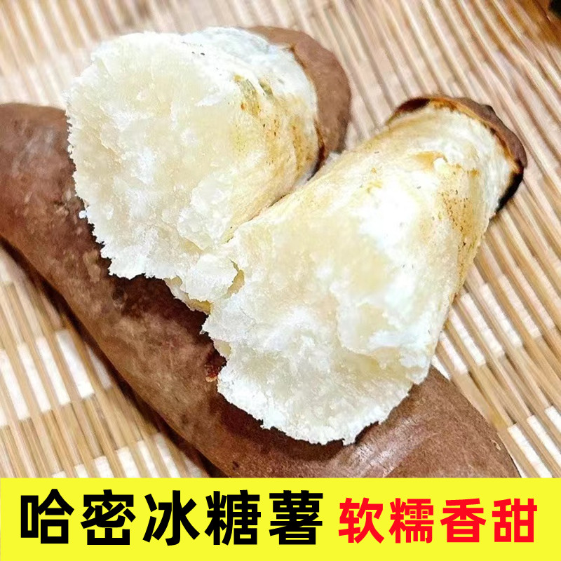 山东哈密冰糖薯新鲜白蜜薯