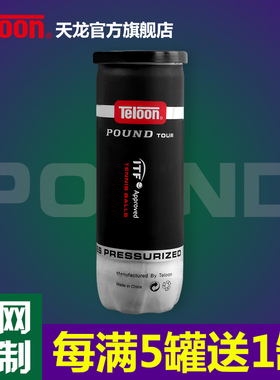 【买5送1】天龙白色网球pound-3温网定制3粒罐装封听比赛训练用球