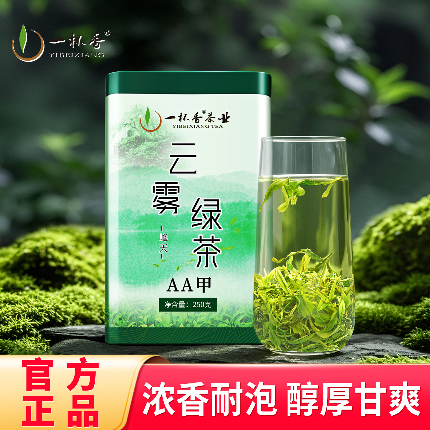 2025新茶一杯香云雾绿茶250g