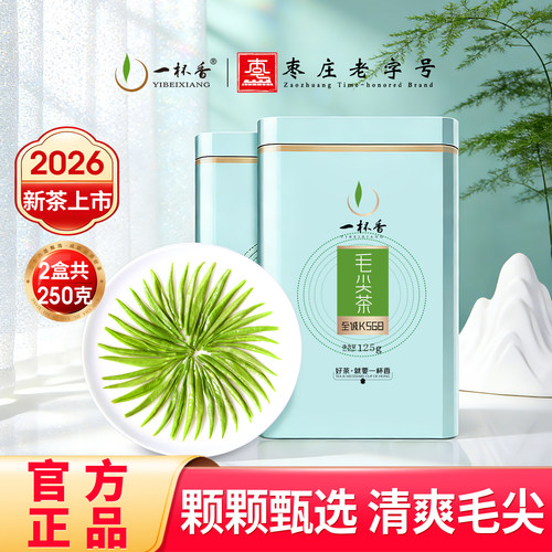 2026新茶一杯香毛尖信阳绿茶250g