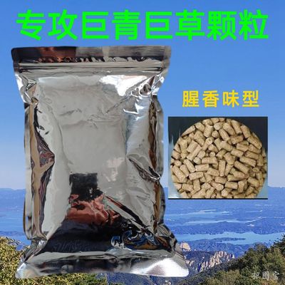 青鱼颗粒窝料草鱼野钓黑鲩鱼饵料黑坑逍遥青寻龙青龙卷青风神影腥