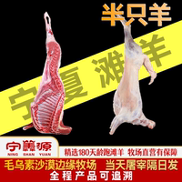 寧羴源寧夏灘羊半只整只羊腿羊排新鮮整只羔羊10斤不帶皮羊肉