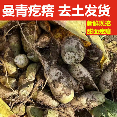 河北蔓菁疙瘩甜面好吃小时候味道