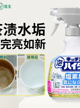 日本花王茶垢清洁剂茶渍茶杯清洗泡沫强力除垢水壶杯子咖啡机神器