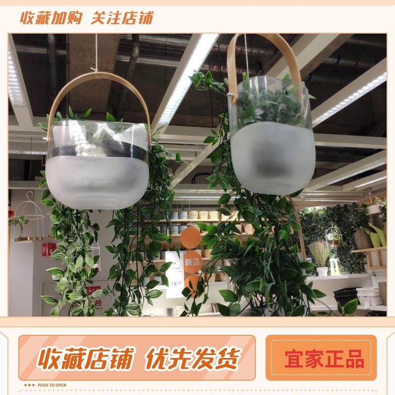 IKEA 宜家 福林萨特 花盆悬挂式花盆 绿萝水培植物盆栽