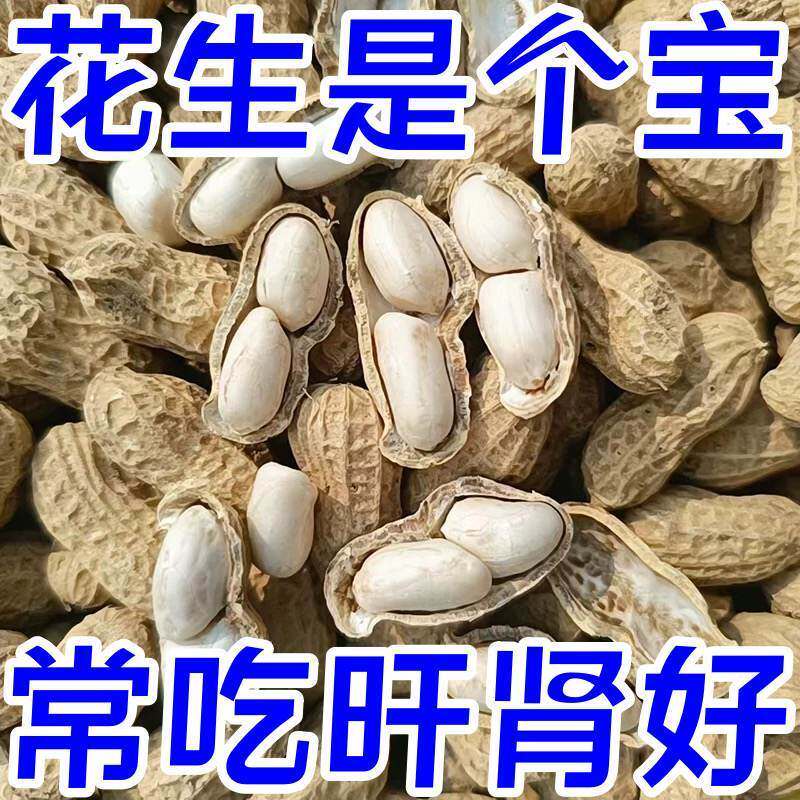 白玉花生牛奶花生高产早熟可种