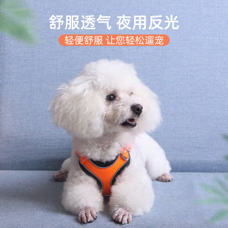 狗狗牵引绳小型犬泰迪胸背带