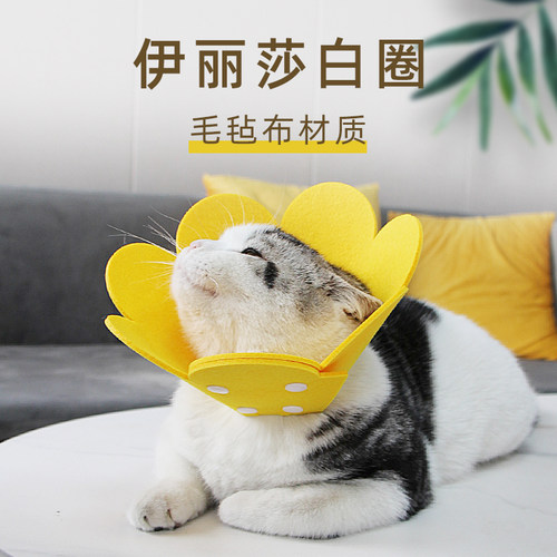 项圈防舔头套狗狗脖圈用品猫咪