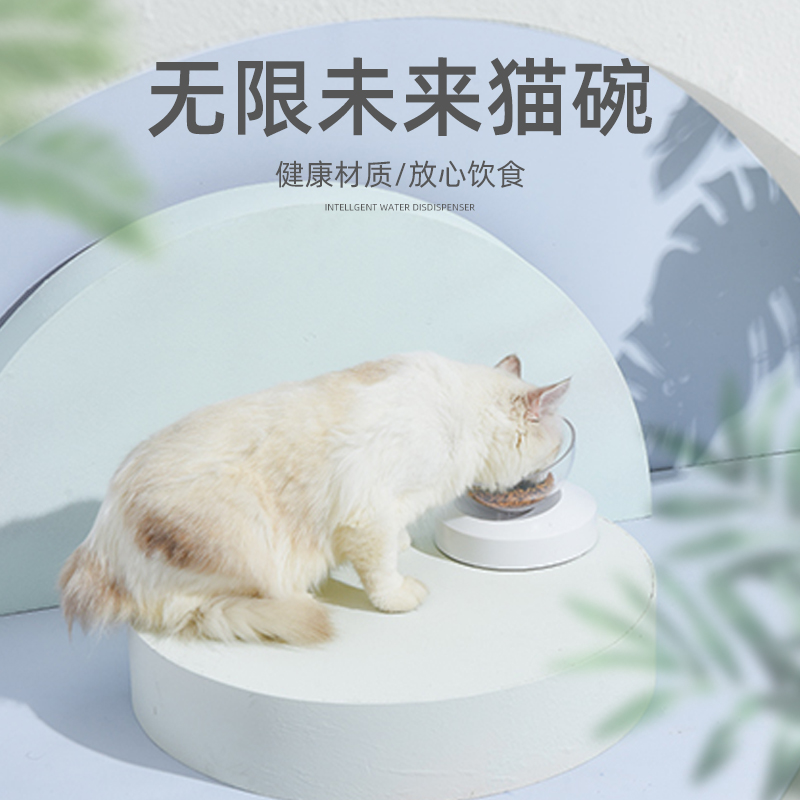 猫碗单碗猫食盆猫盆猫咪饭碗水碗保护颈椎防打翻饭盆宠物猫咪用品