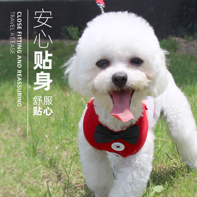 小狗狗背心式博美雪纳瑞牵引绳