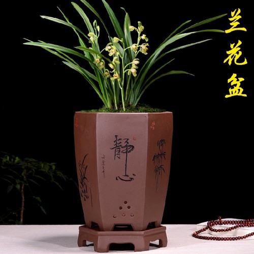 精品紫砂花盆兰花盆刻绘兰花专用