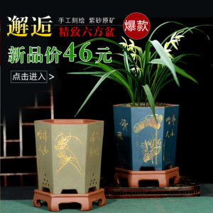 宜兴紫砂花盆精品高档六方兰花盆君子兰多肉花盆陶瓷盆厂家直销