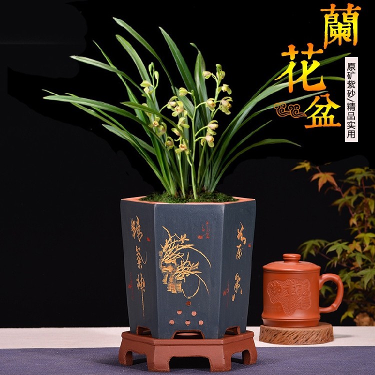 宜兴紫砂花盆兰花盆君子兰盆花盆花盆古典个性六方带托盘陶瓷花盆