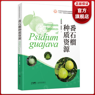 番石榴种质资源 中国热带亚热带特色果树种质资源丛书  番石榴图鉴62 个品种品系 广东科技出版社官方正品