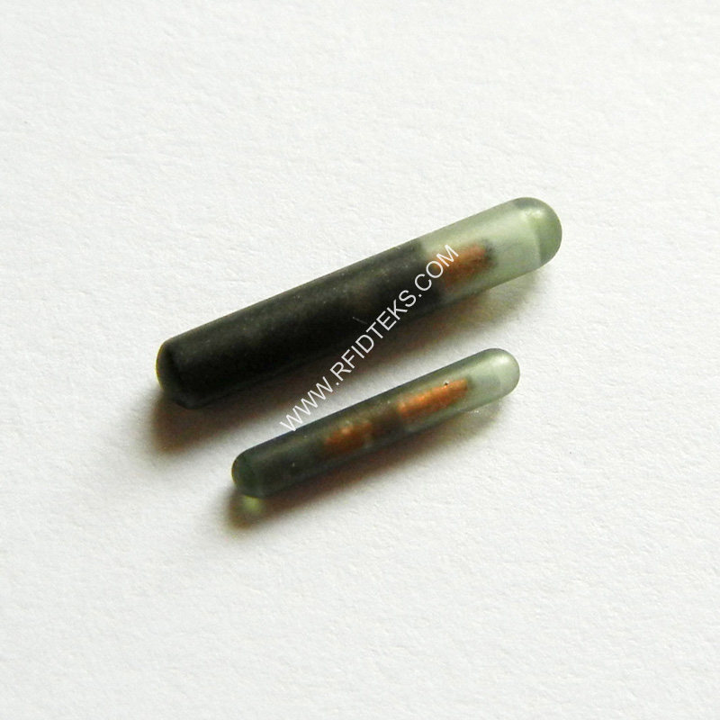 125Khz植入式玻璃管标签德国进口芯片龙鱼体内标识动物晶片1.4X8