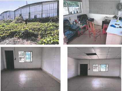 4月4日河源市五栋工业用房及十二栋地上建筑物网络拍卖公告