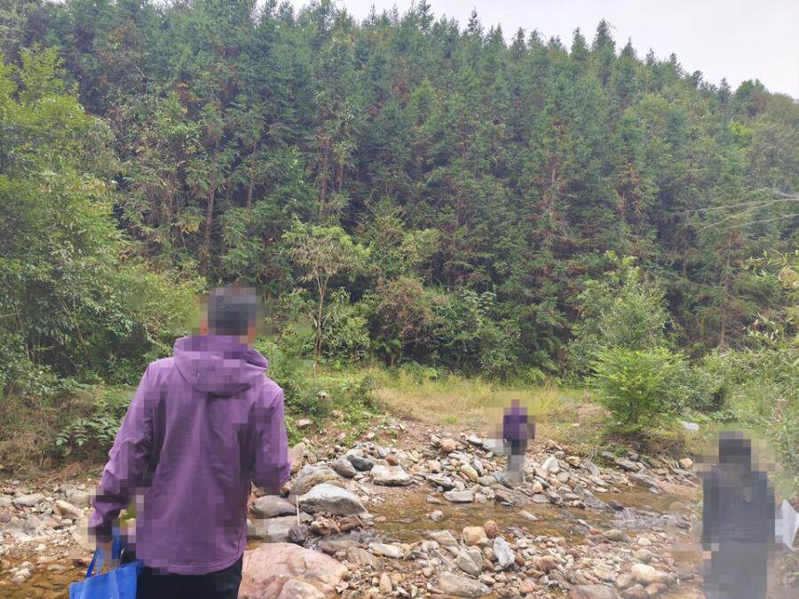 变卖连平县油溪镇长潭村的林权