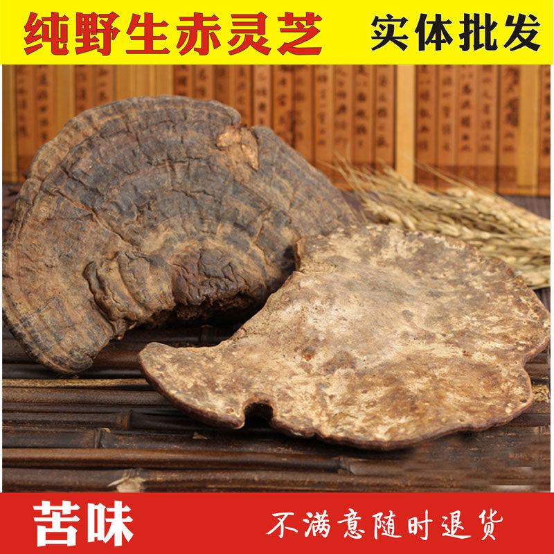 纯野生无柄赤灵芝 云南深山天然整枝赤灵芝 正品野生灵芝 500克