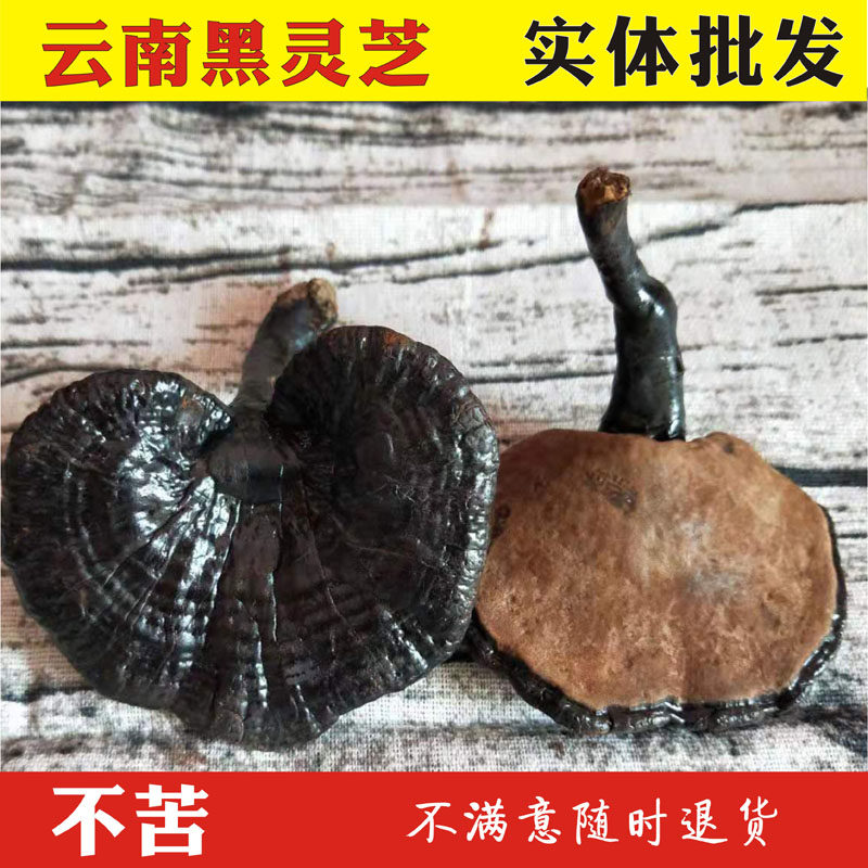 黑灵芝 纯天然正品黑芝半野生灵芝 云南深山整枝黑林芝500g