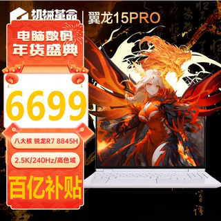 MECHREVO（电子） 机械革命 蛟龙 AMD翼龙15Pro 全新笔记本电脑