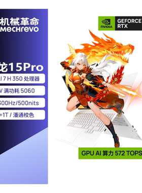 MECHREVO/机械革命 翼龙 15Pro 5060 99Wh 15K国补游戏笔记本电脑
