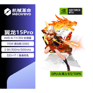 MECHREVO 翼龙 15Pro16X5060 99Wh国补游戏笔记本电脑 机械革命