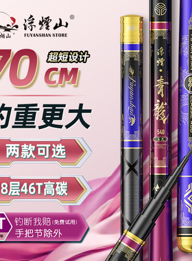 溪流竿短节鱼竿手杆超轻超硬19调鲫鱼竿28调品牌名便携钓鱼竿手竿