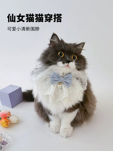 Фея кошка осень Притворяется шейная одежда для любимой собаки собака для водного полотенца библены кукольная кошка библейка кошка кошка