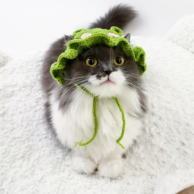 宠物猫咪帽子针织可爱头套头饰狗狗小猫幼猫布偶猫生日装扮小饰品