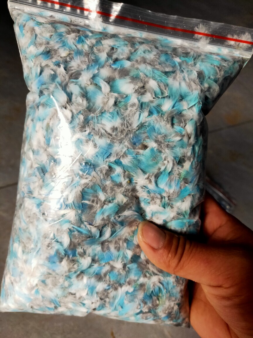 鹦鹉羽毛仿点翠工艺品装饰浅蓝深蓝红色黄色白色羽毛仿古干净包邮