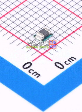 DC-DC电源芯片 TPSM828213SILR TFDFN-10(2x2.5) TI/德州 元器件