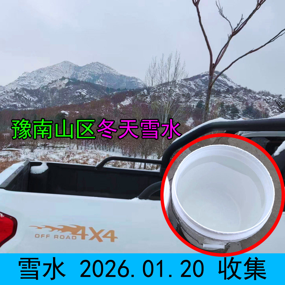 珍藏冬天雪水腊月雪水 豫南山区野外收集 洁净无杂纯天然真雪水