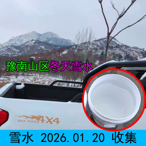 珍藏冬天雪水腊月雪水 豫南山区野外收集 洁净无杂纯天然真雪水