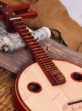 民族弹拨乐器非洲紫檀花梨木小阮乐器音色清亮赠全套配件502XRT