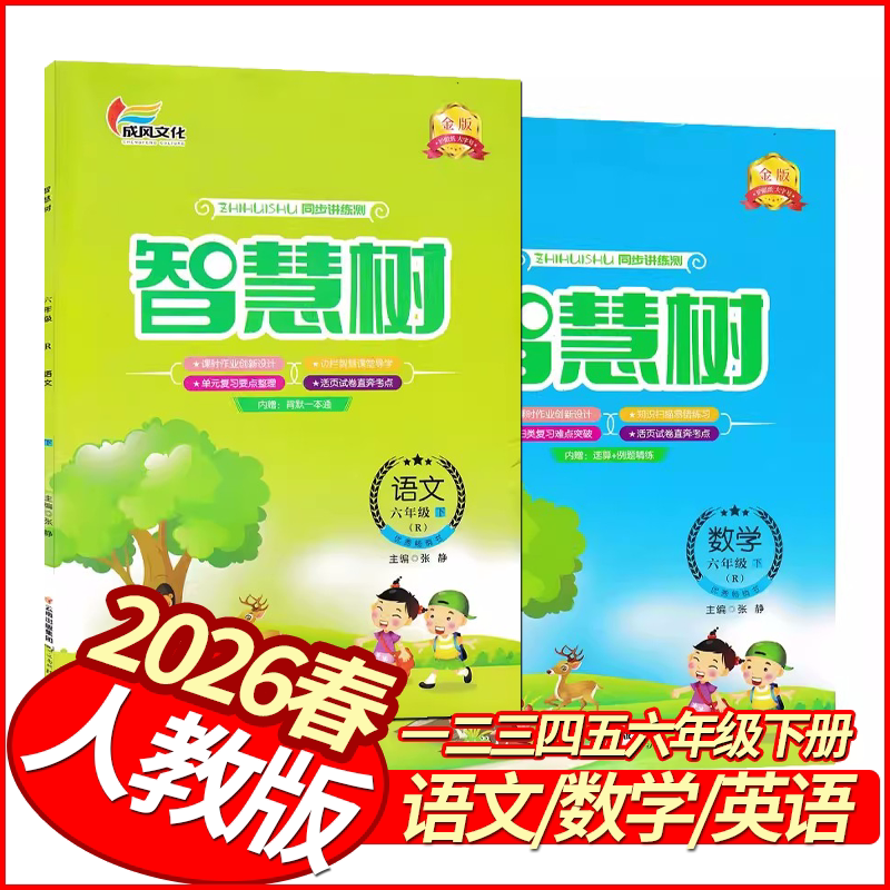 2026春智慧树同步讲练测一二三四五六年级下册语文数学英语人教版 金版 小学学霸作业本123456年级天天练习册状元作业本习题集