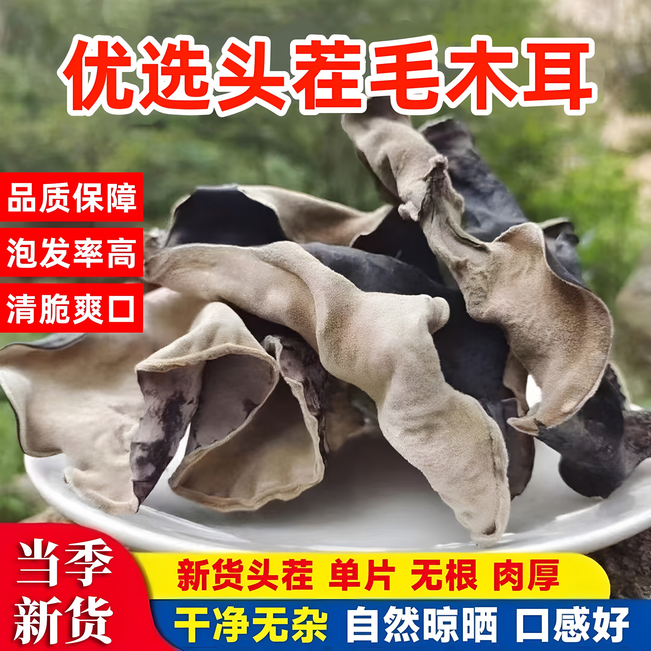 脆木耳特厚大朵干货毛木耳