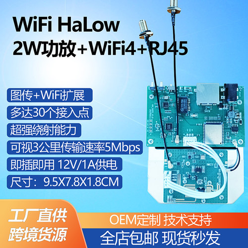 WiFiHaLow2W功放+WiFi4+RJ45