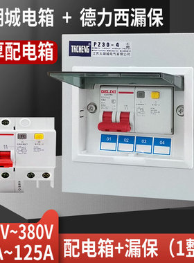 漏电保护器带明装配电箱空气开关电闸家用新能源2P3P4P32A40A63A