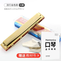 [24 -отвернка Популярное золото C Tone] Отправить внутренние учебники