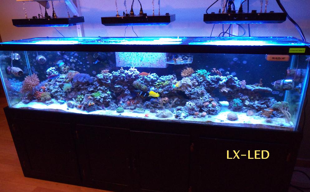 LED水族灯LED水培灯 LED水母灯观赏灯 LED 珊瑚灯 Aquarium lamp 家装灯饰光源 其它灯具灯饰 原图主图