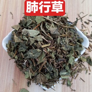肺形草500克 肺行草肺型草 穿藤金兰花 铁交杯 蝴蝶草 中草药材