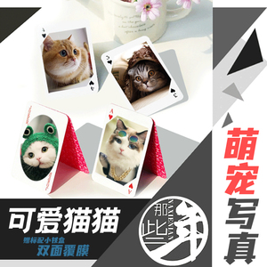 宠物猫猫可爱小猫咪写真扑克定制