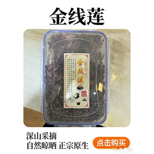 正宗福建南靖土楼开花金线莲 爆花 整株干品 林下种植18个月 包邮