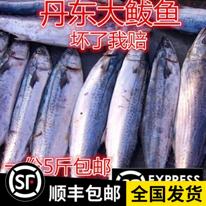 包邮辽宁鲅鱼新鲜速冻一份