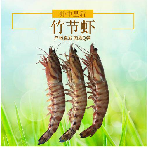 竹节虾野生斑节虾鲜活基围虾超大虎虾石浦海虾海鲜水产 2斤装7-8