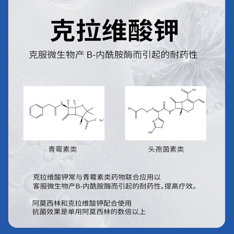 阿莫西林克拉维酸钾犬猫感冒打喷嚏咳嗽宠物消炎药猫鼻支