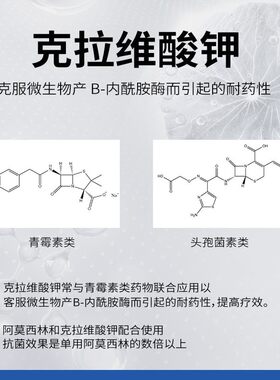 宠物消炎药猫狗感冒咳嗽腹泻尿血