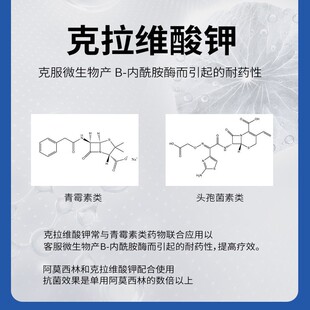 阿莫西林克拉维酸钾犬猫感冒打喷嚏咳嗽宠物消炎药猫鼻支