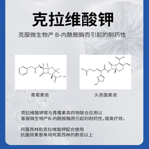 宠物消炎药猫狗感冒咳嗽腹泻尿血